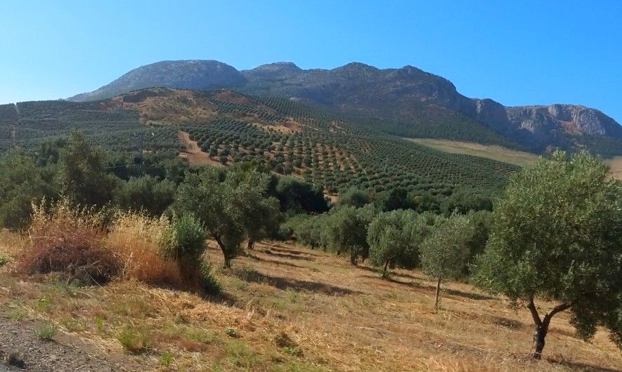 01-Auf dem Weg nach Tortosa